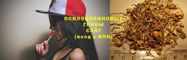 сатива Вязники