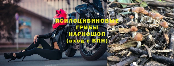 ешки Горно-Алтайск