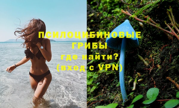 apvp Строитель