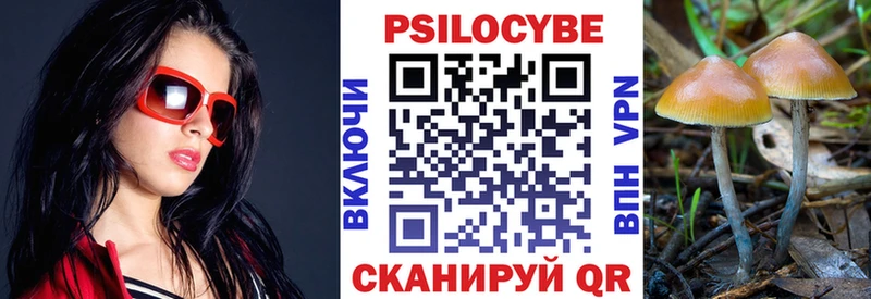 Псилоцибиновые грибы прущие грибы Инза